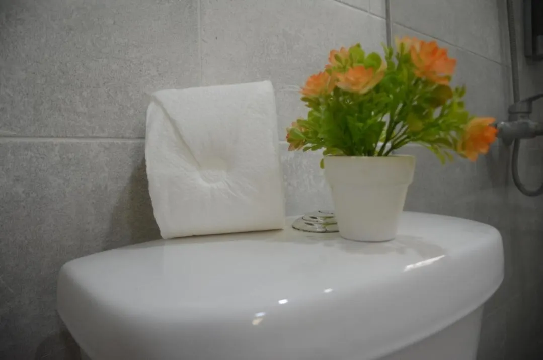 شقة Comfortable House سانتو دومينجو